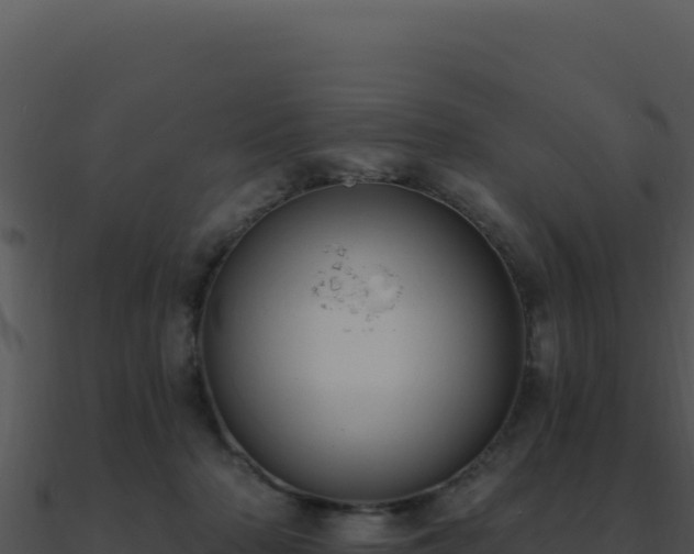 X0000091000318200708021606
