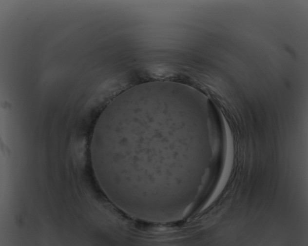 X0000091000319200708021606