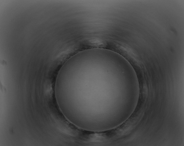 X0000091000320200708021606