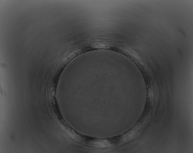 X0000091000322200708021606