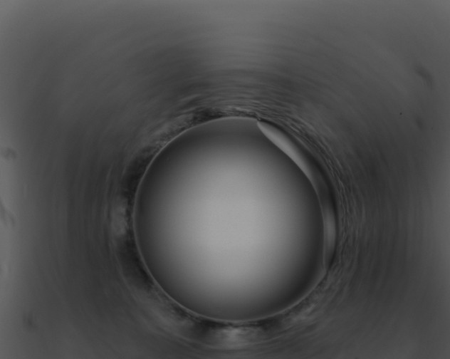 X0000091000323200708021606