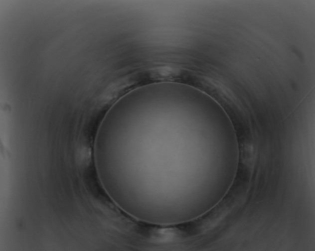 X0000091000324200708021606