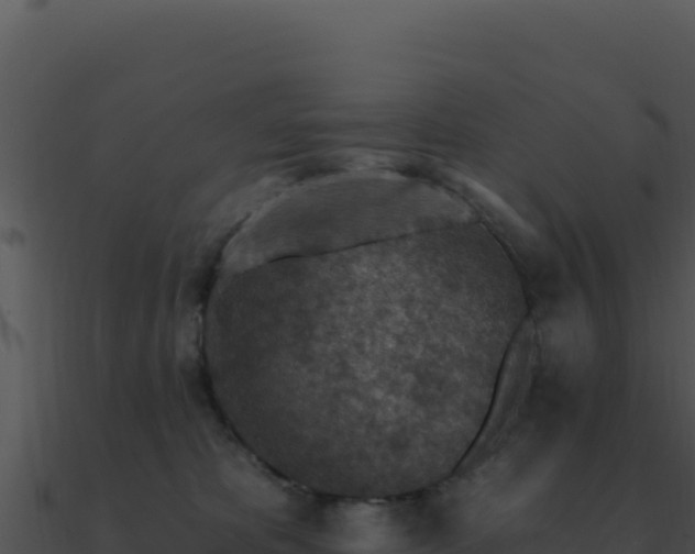 X0000091000325200708021606