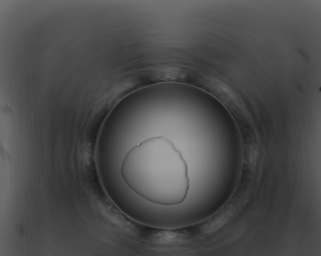 X0000091000326200708021606
