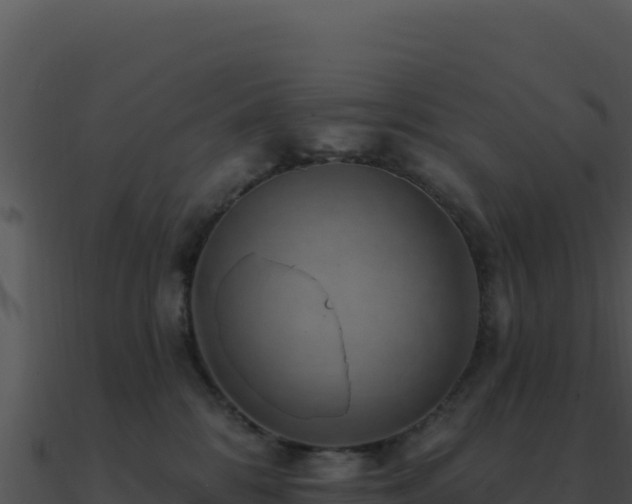 X0000091000328200708021606