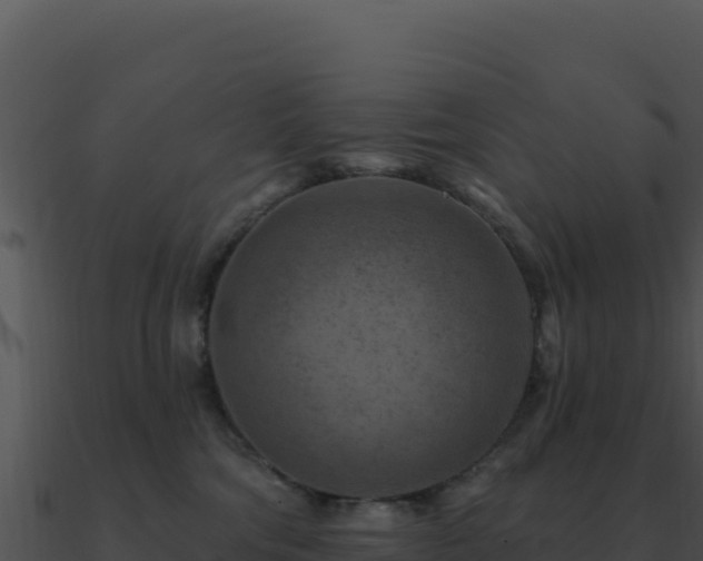X0000091000330200708021606
