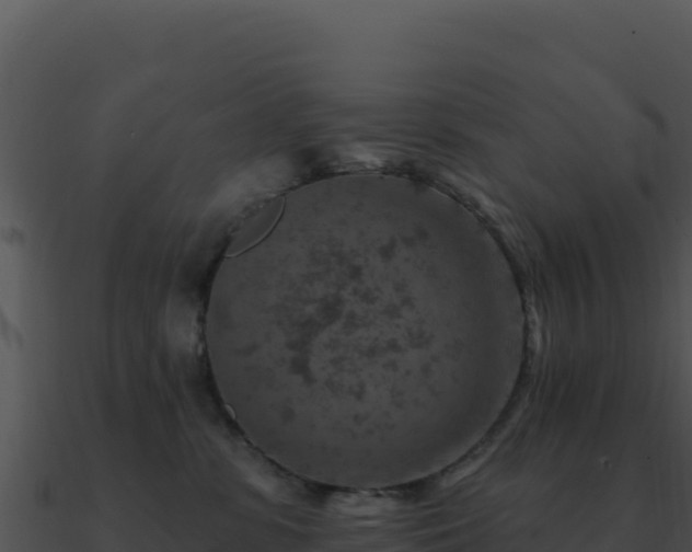 X0000091000331200708021606