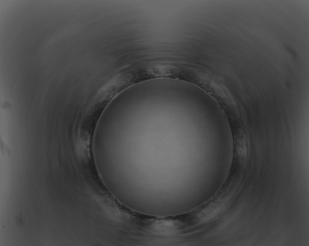 X0000091000332200708021606