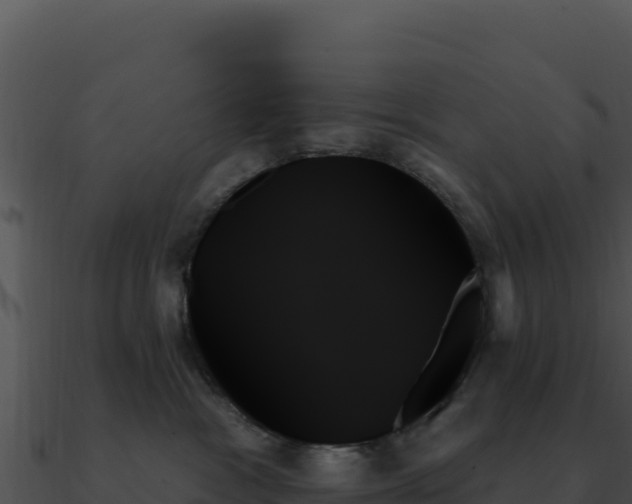 X0000091000333200708021606