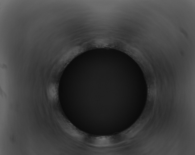 X0000091000335200708021606