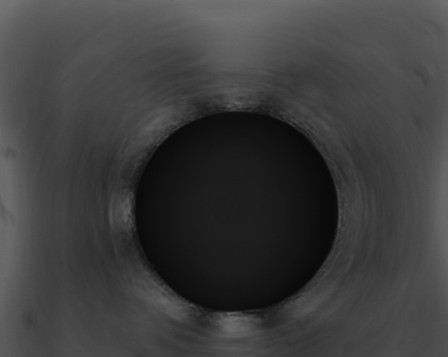 X0000091000336200708021606