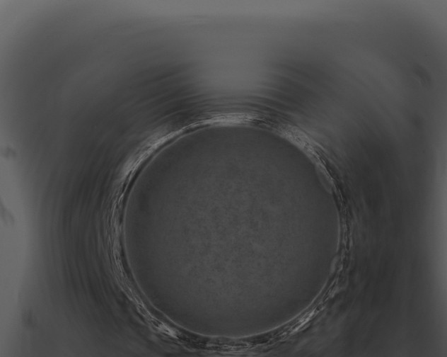 X0000091000337200708021605