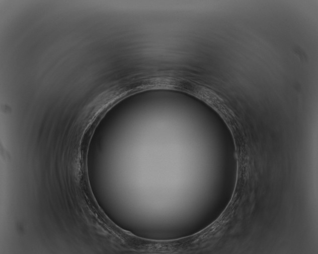 X0000091000338200708021605