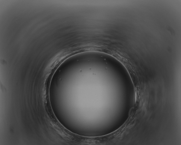 X0000091000339200708021605