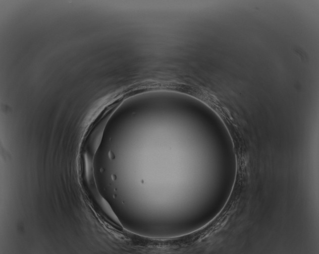 X0000091000340200708021605