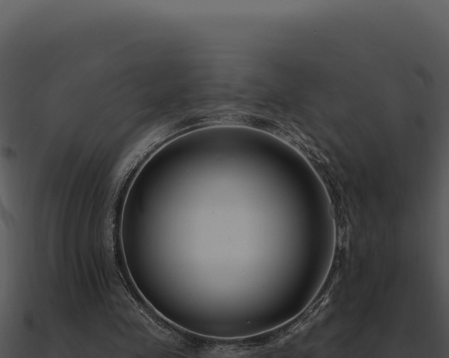 X0000091000341200708021605