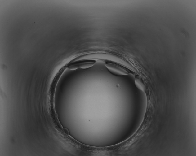 X0000091000342200708021605
