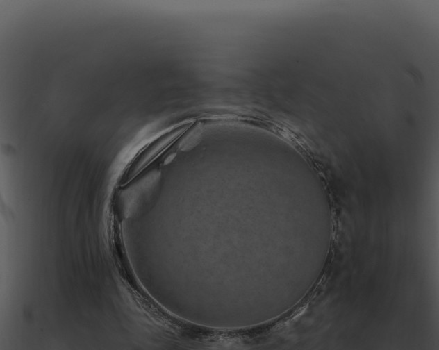 X0000091000343200708021605