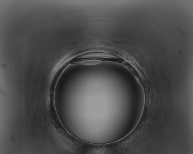 X0000091000344200708021605