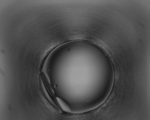X0000091000345200708021605