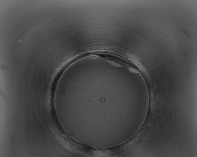 X0000091000346200708021605