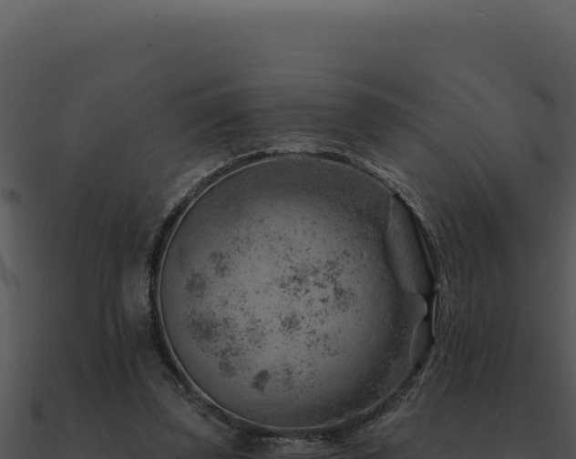 X0000091000347200708021605
