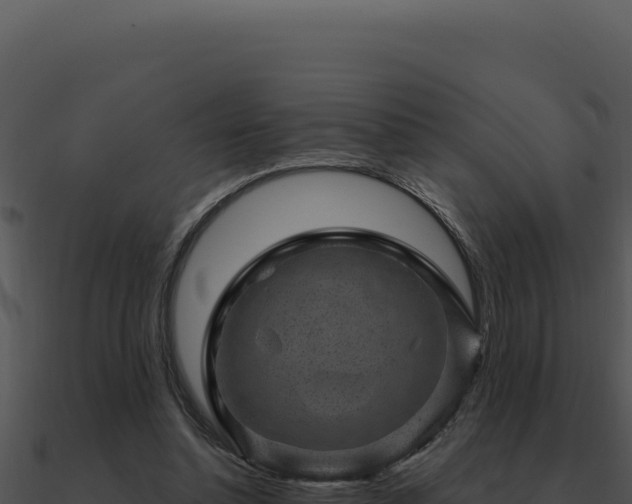 X0000091000348200708021605