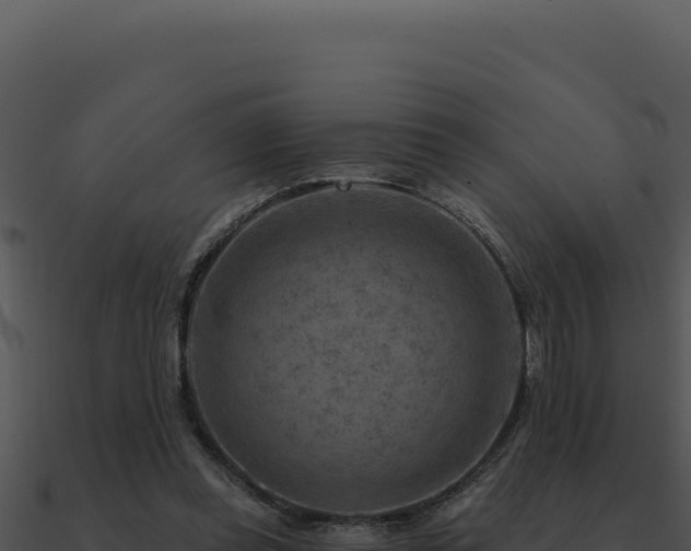 X0000091000349200708021605
