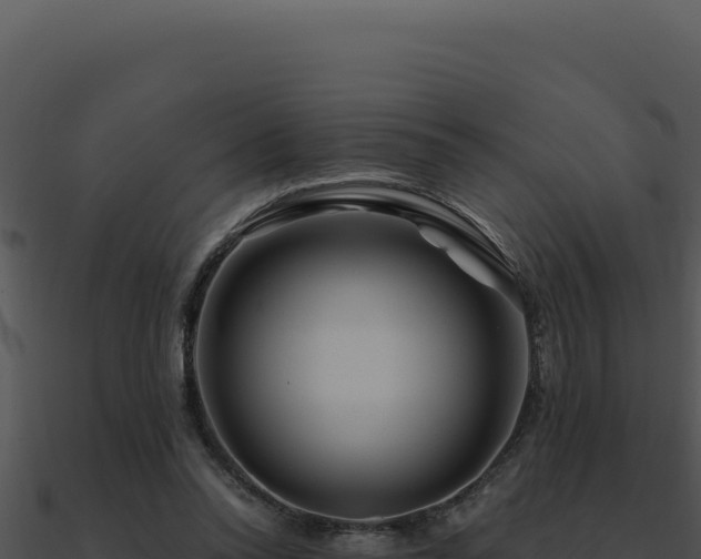 X0000091000350200708021605