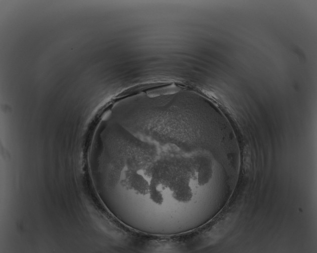 X0000091000351200708021605