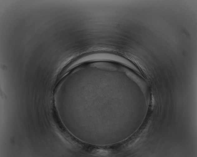 X0000091000352200708021605