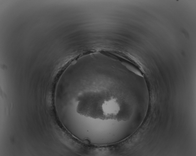 X0000091000353200708021605