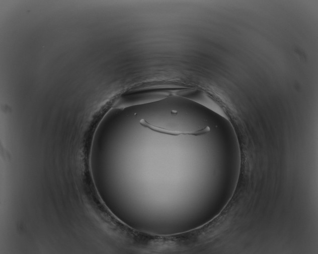 X0000091000354200708021605