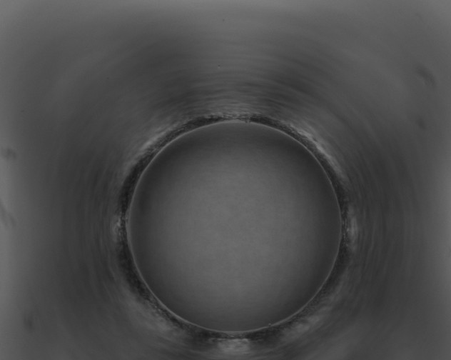 X0000091000355200708021605