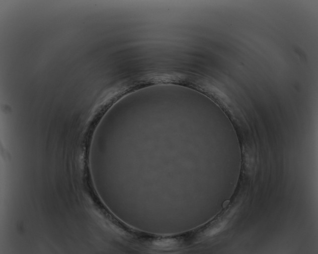 X0000091000357200708021605
