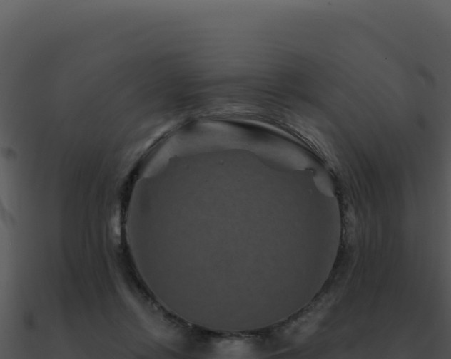 X0000091000358200708021605