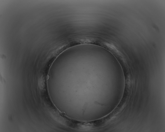 X0000091000359200708021605