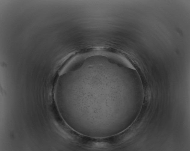 X0000091000360200708021606