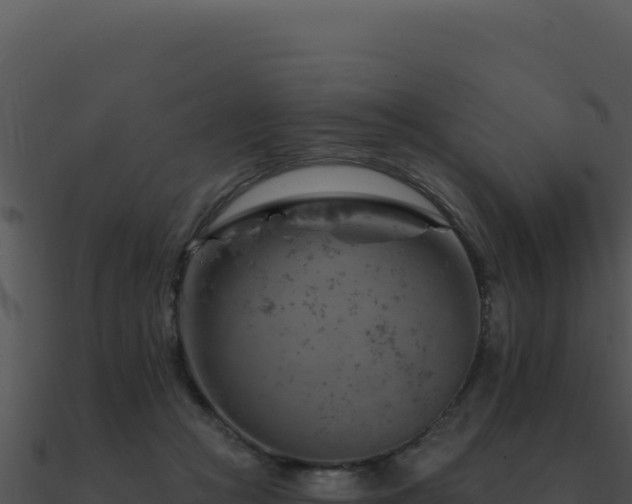 X0000091000361200708021606