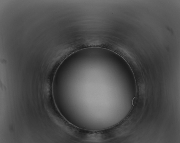 X0000091000362200708021606