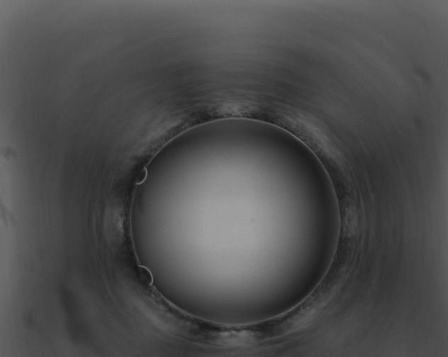 X0000091000363200708021606
