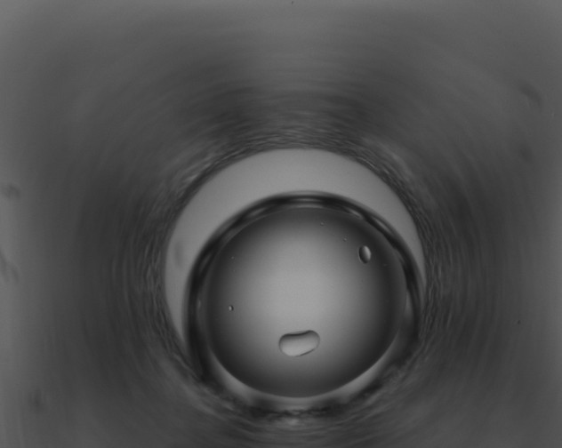 X0000091000364200708021606