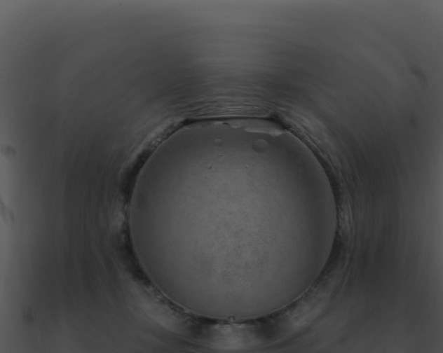 X0000091000367200708021606