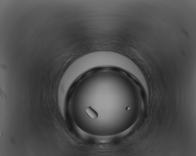 X0000091000368200708021606