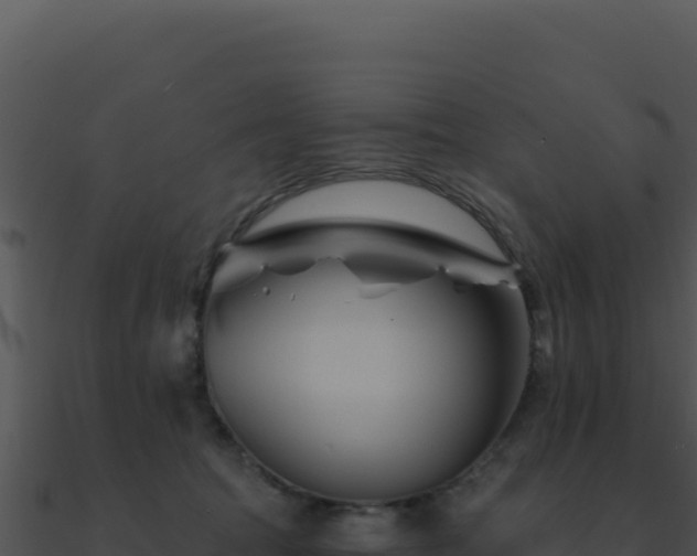 X0000091000369200708021606