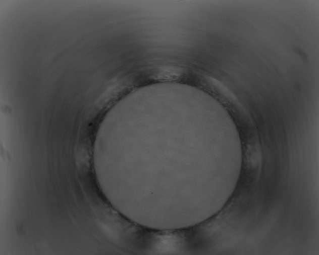 X0000091000370200708021606