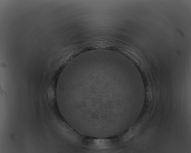 X0000091000371200708021606