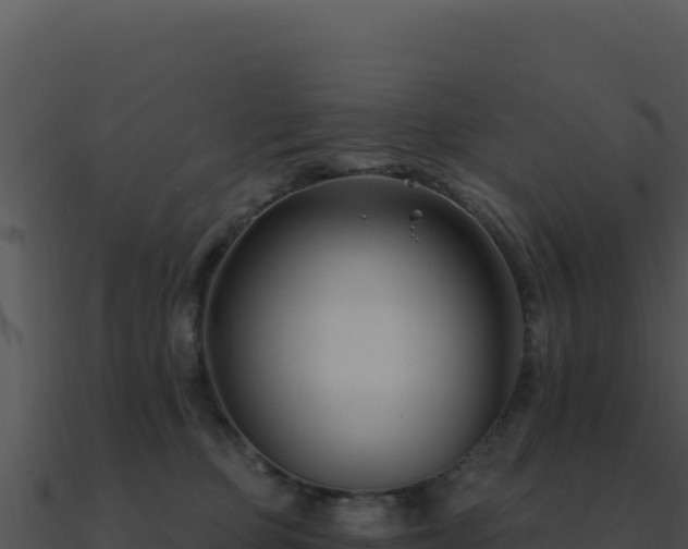 X0000091000373200708021606