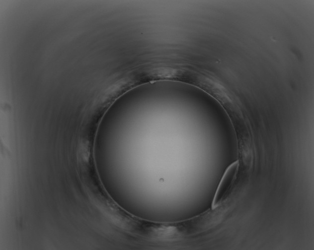 X0000091000374200708021606