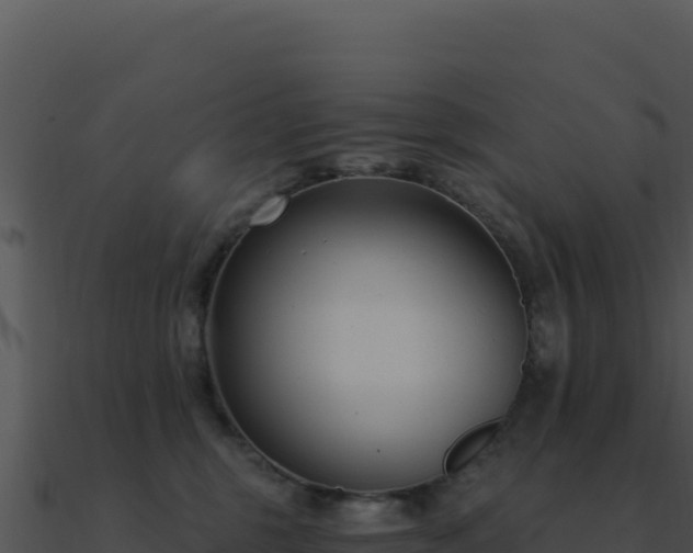 X0000091000375200708021606